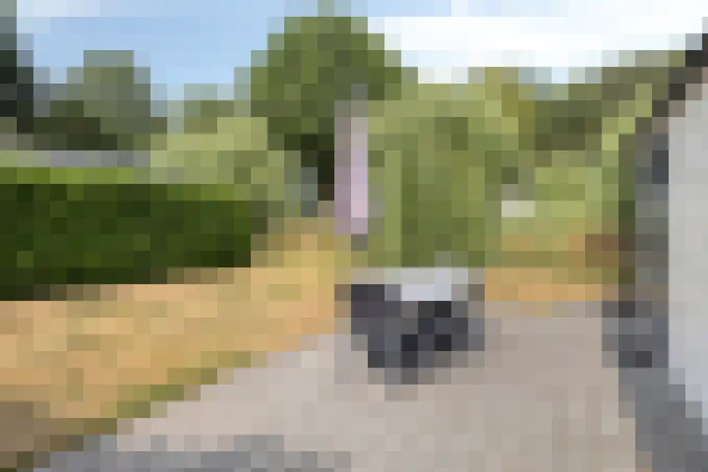 Zonneoordlaan 47 407 Ede thumbnail 14