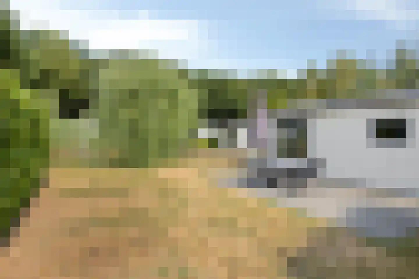 Zonneoordlaan 47 407 Ede thumbnail 15