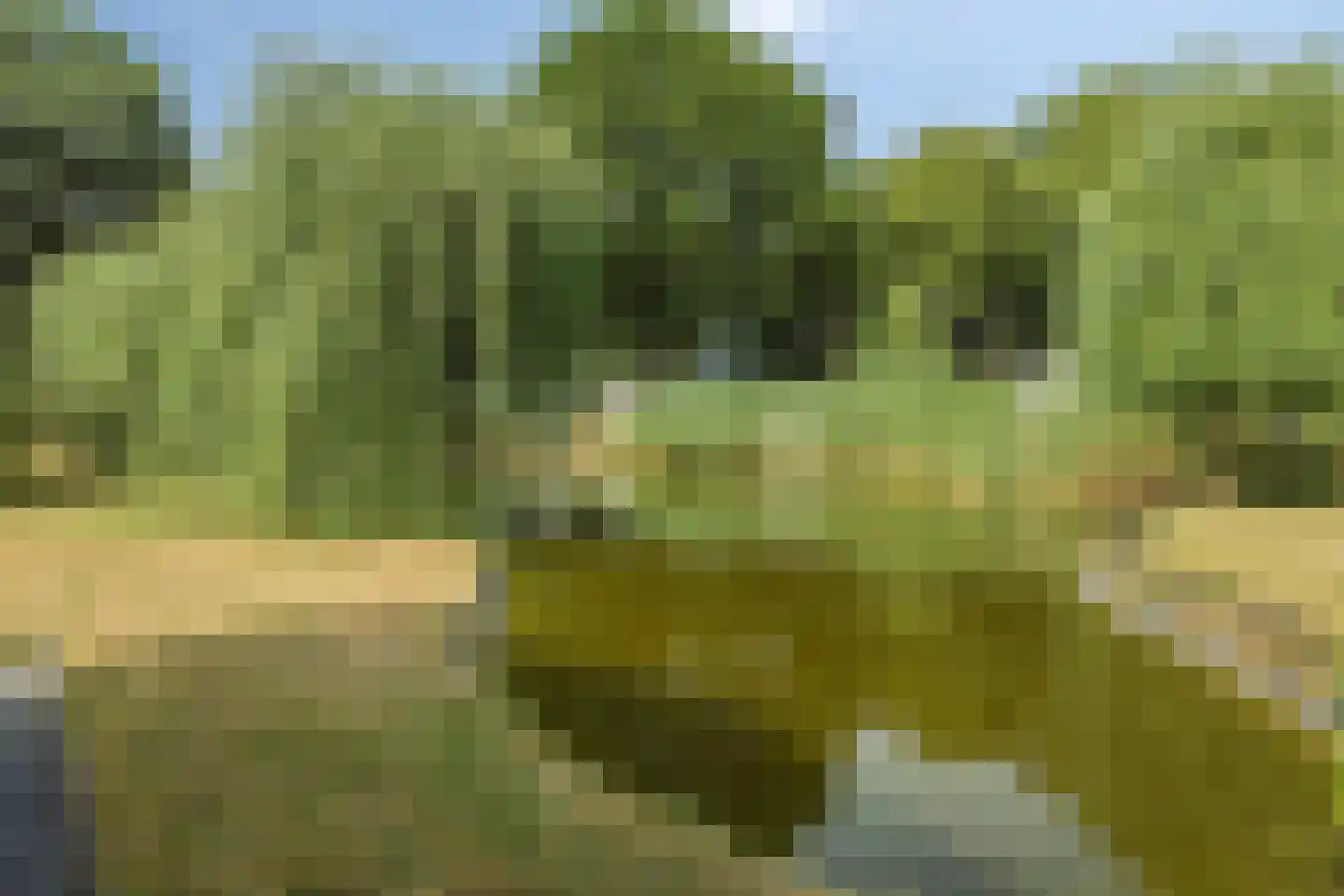 Zonneoordlaan 47 407 Ede thumbnail 18