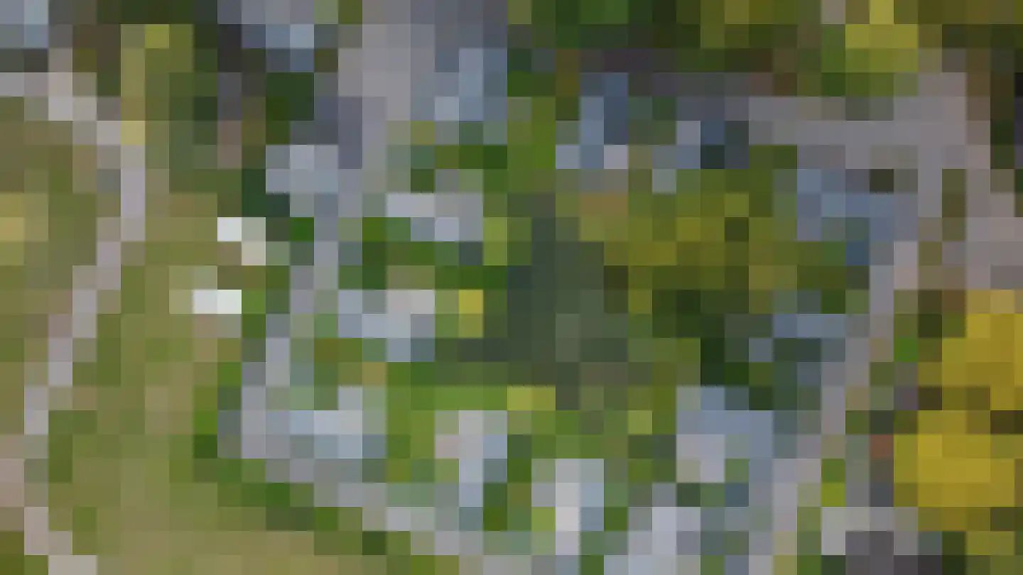 Zonneoordlaan 47 407 Ede thumbnail 23