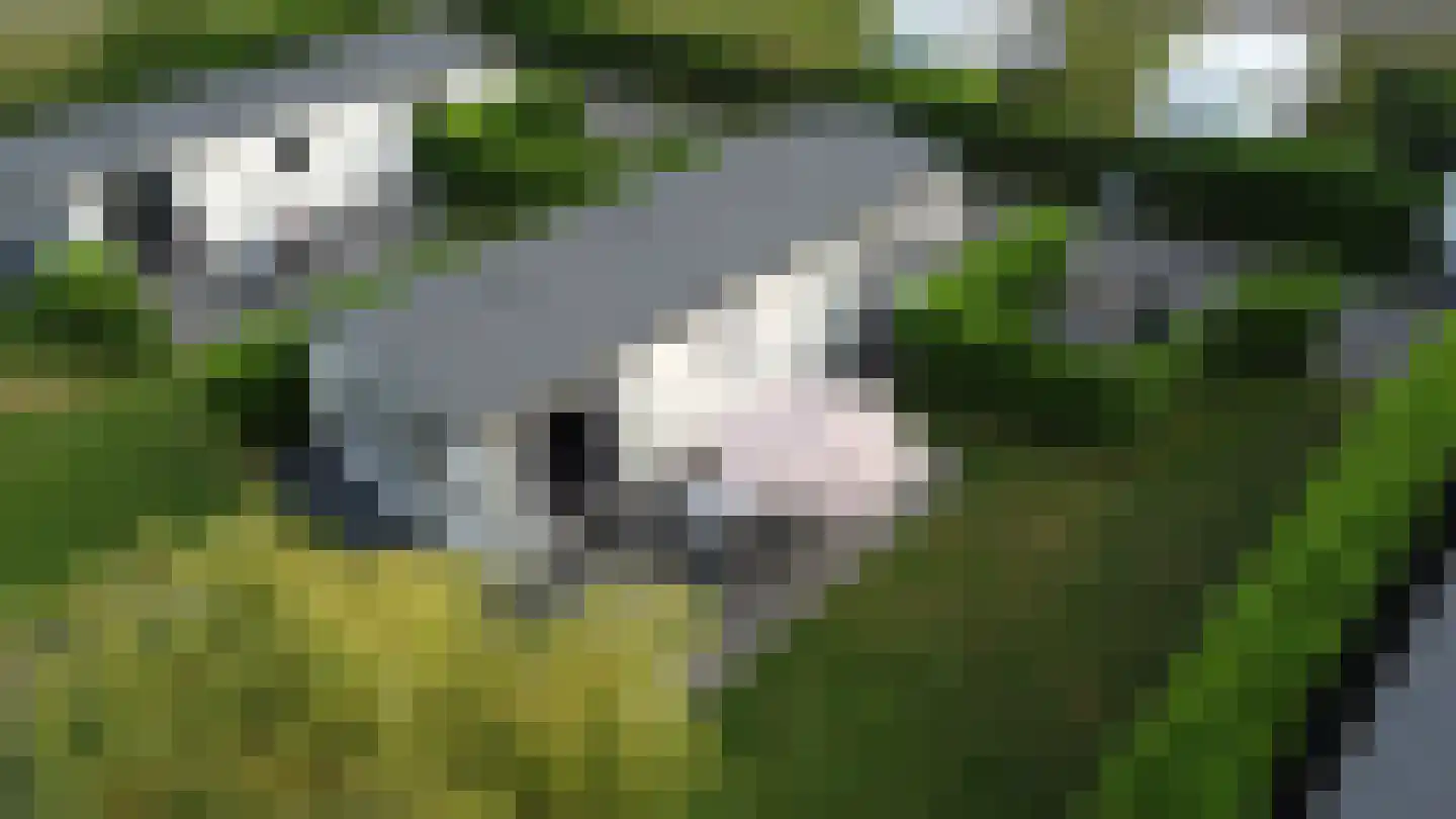 Zonneoordlaan 47 407 Ede thumbnail 24