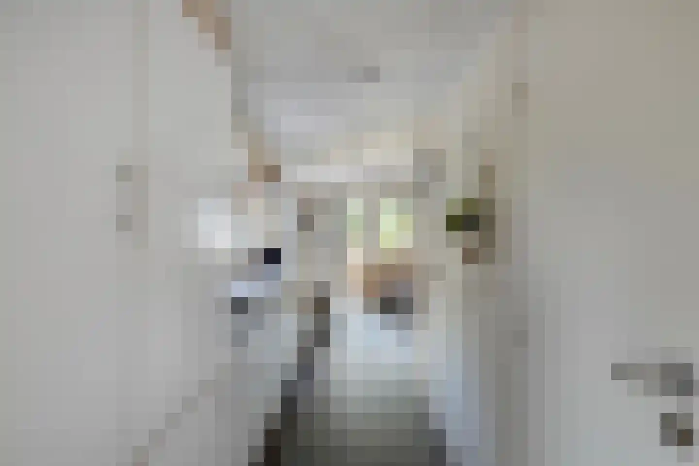 Zonneoordlaan 47 407 Ede thumbnail 5