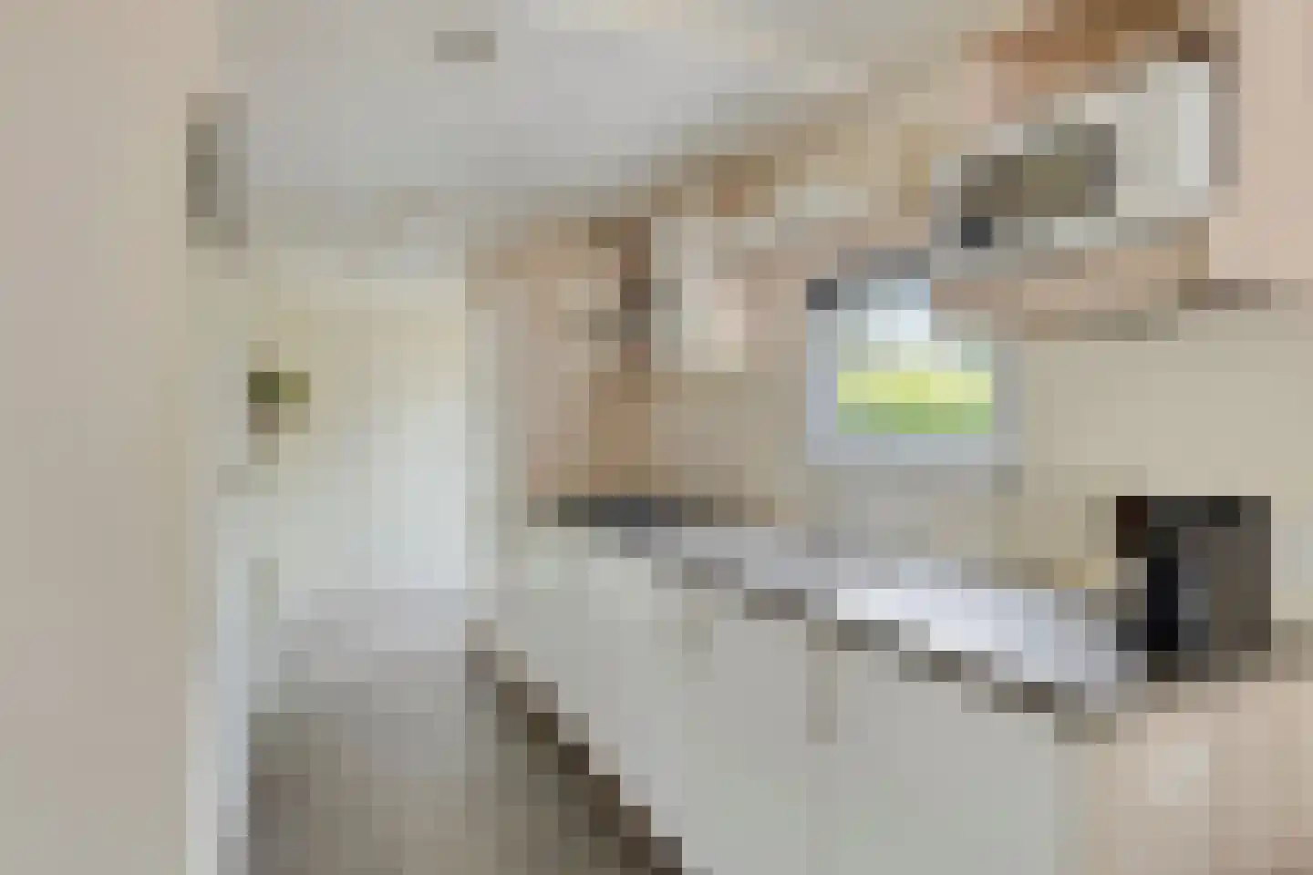 Zonneoordlaan 47 407 Ede thumbnail 9