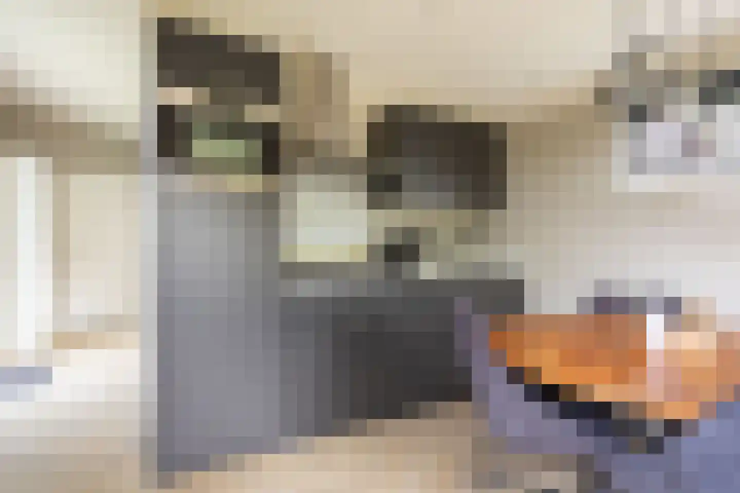 Zonneoordlaan 47 R 104 Ede thumbnail 13