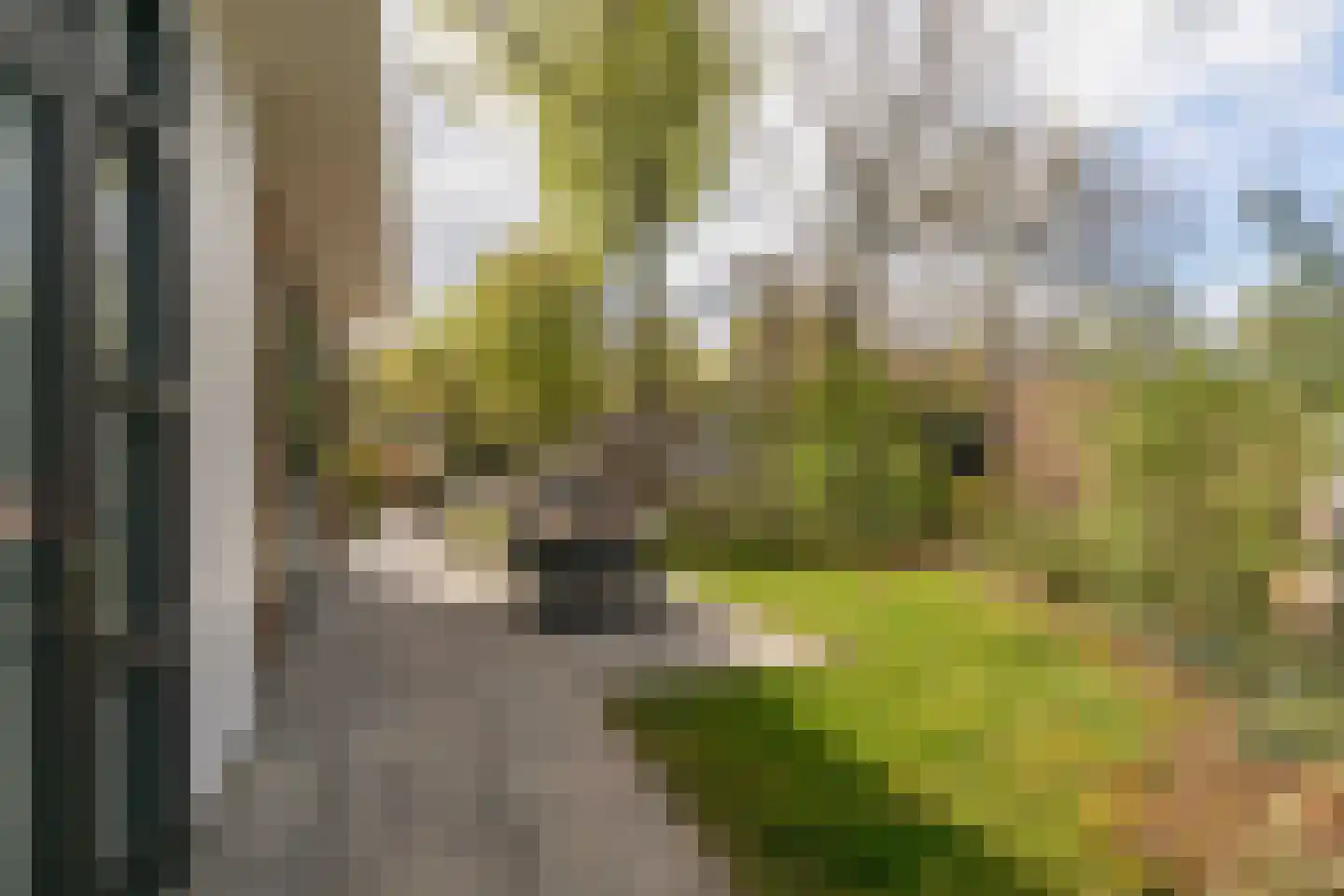 Zonneoordlaan 47 R 104 Ede foto 3