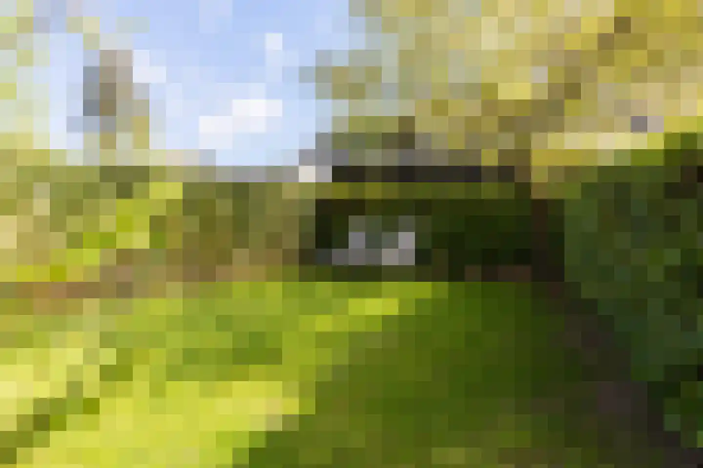 Zonneoordlaan 47 R 104 Ede thumbnail 4