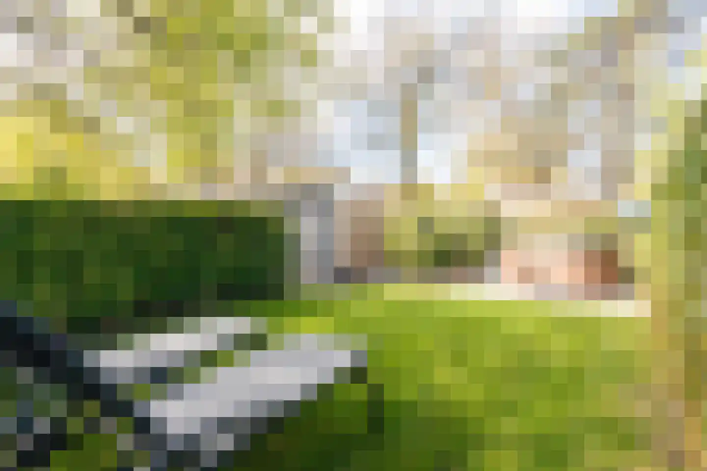 Zonneoordlaan 47 R 104 Ede thumbnail 6