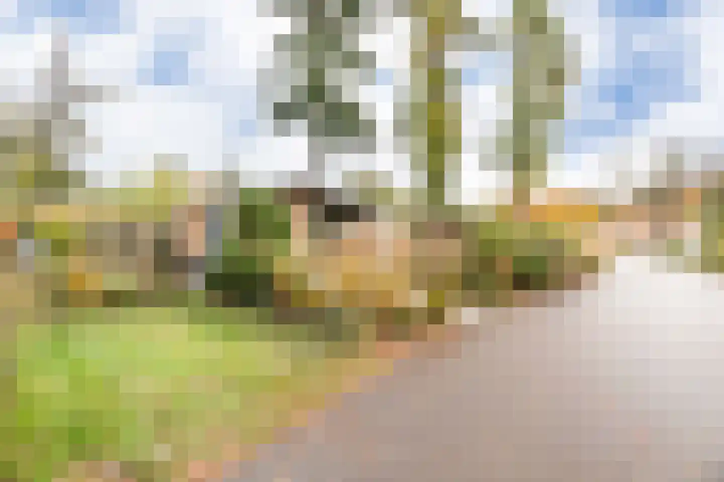 Zonneoordlaan 47 R 112 Ede thumbnail 11