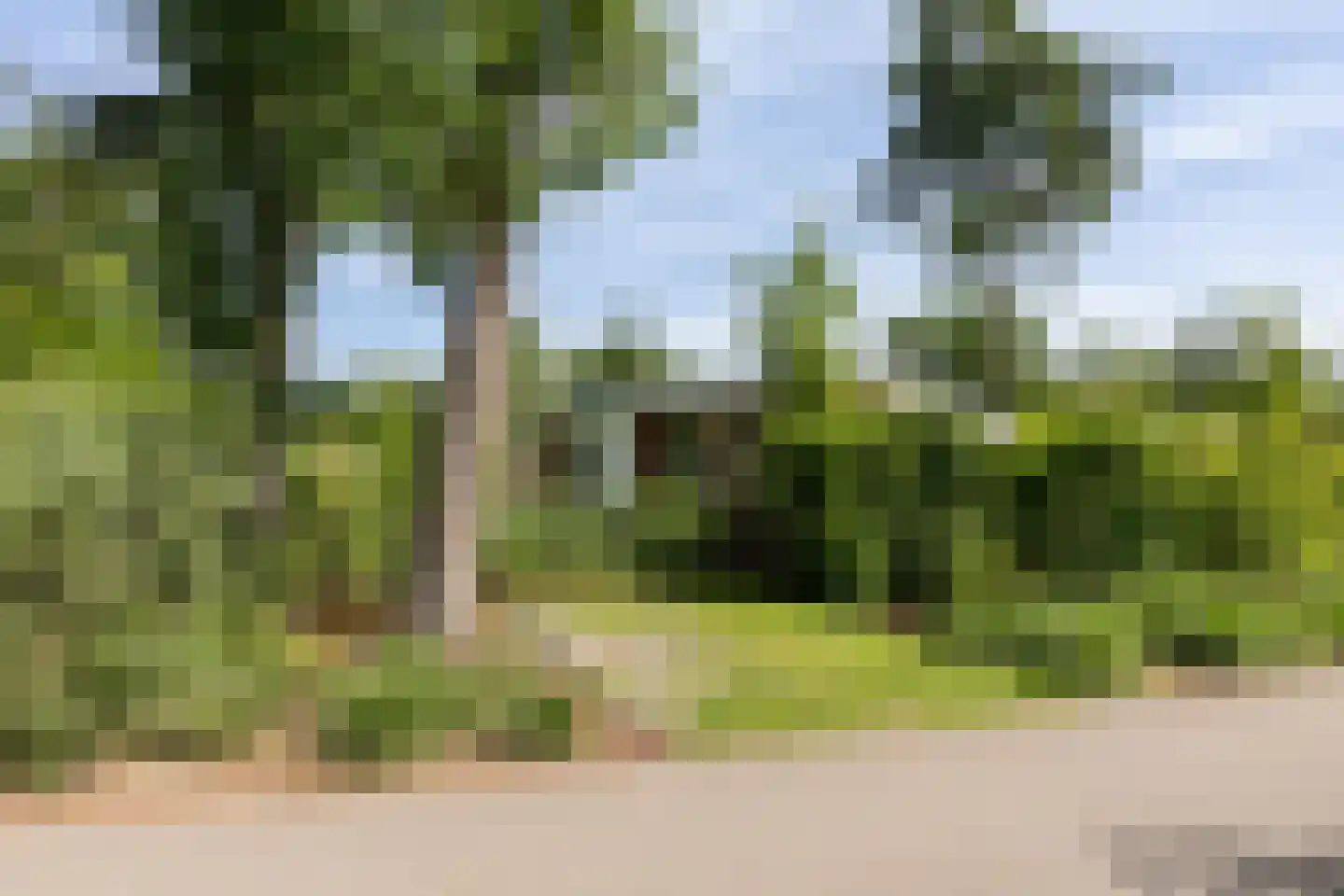 Zonneoordlaan 47 R 113 Ede thumbnail 21