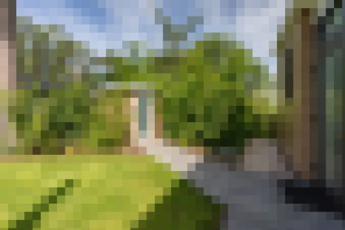 Zonneoordlaan 47 R 113 Ede thumbnail 5