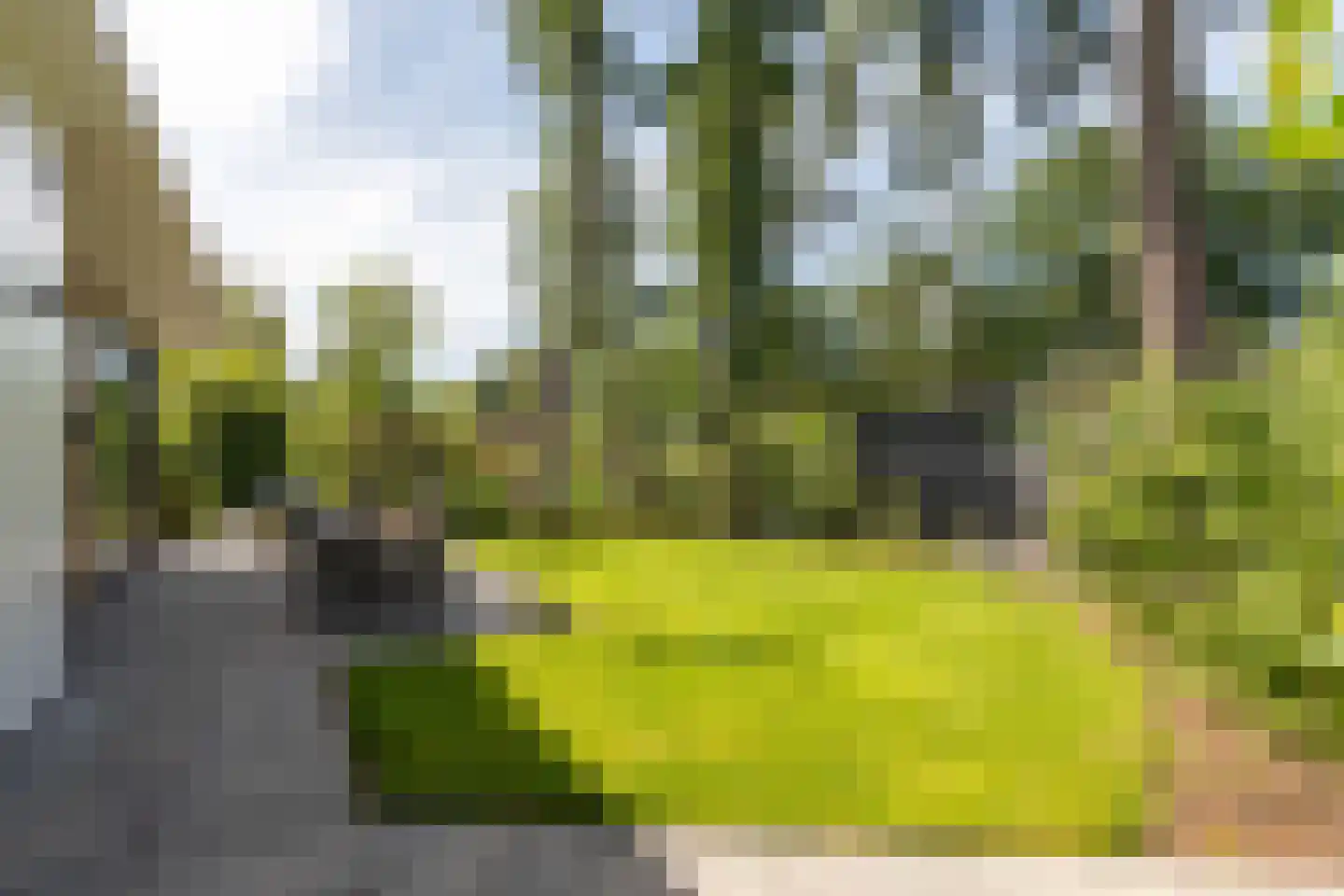 Zonneoordlaan 47 R 113 Ede thumbnail 6