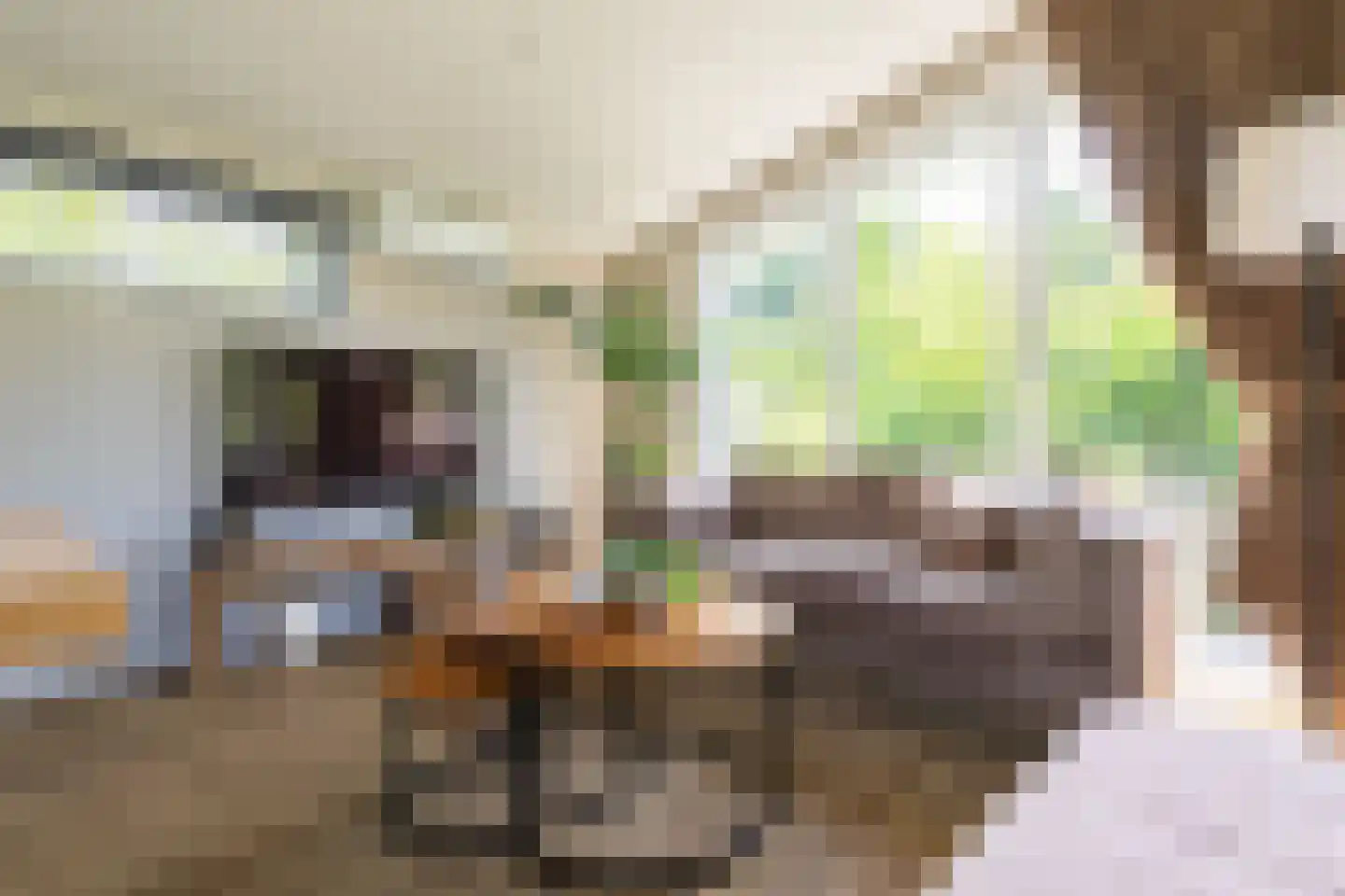 Zonneoordlaan 47 R 113 Ede thumbnail 8