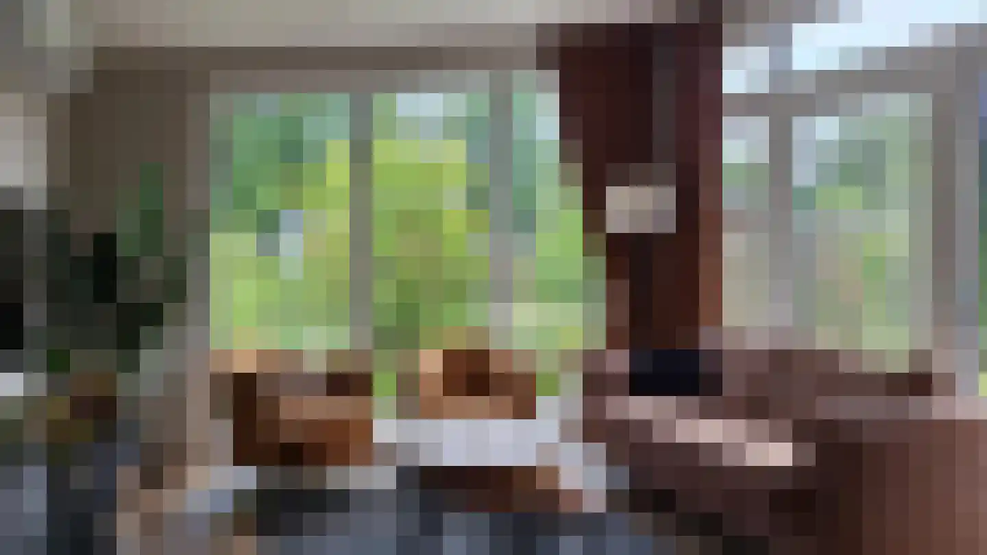Zonneoordlaan 47 R 114 Ede thumbnail 10