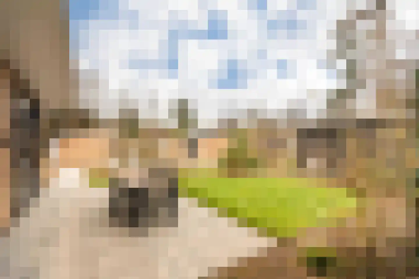Zonneoordlaan 47 R 114 Ede foto 3