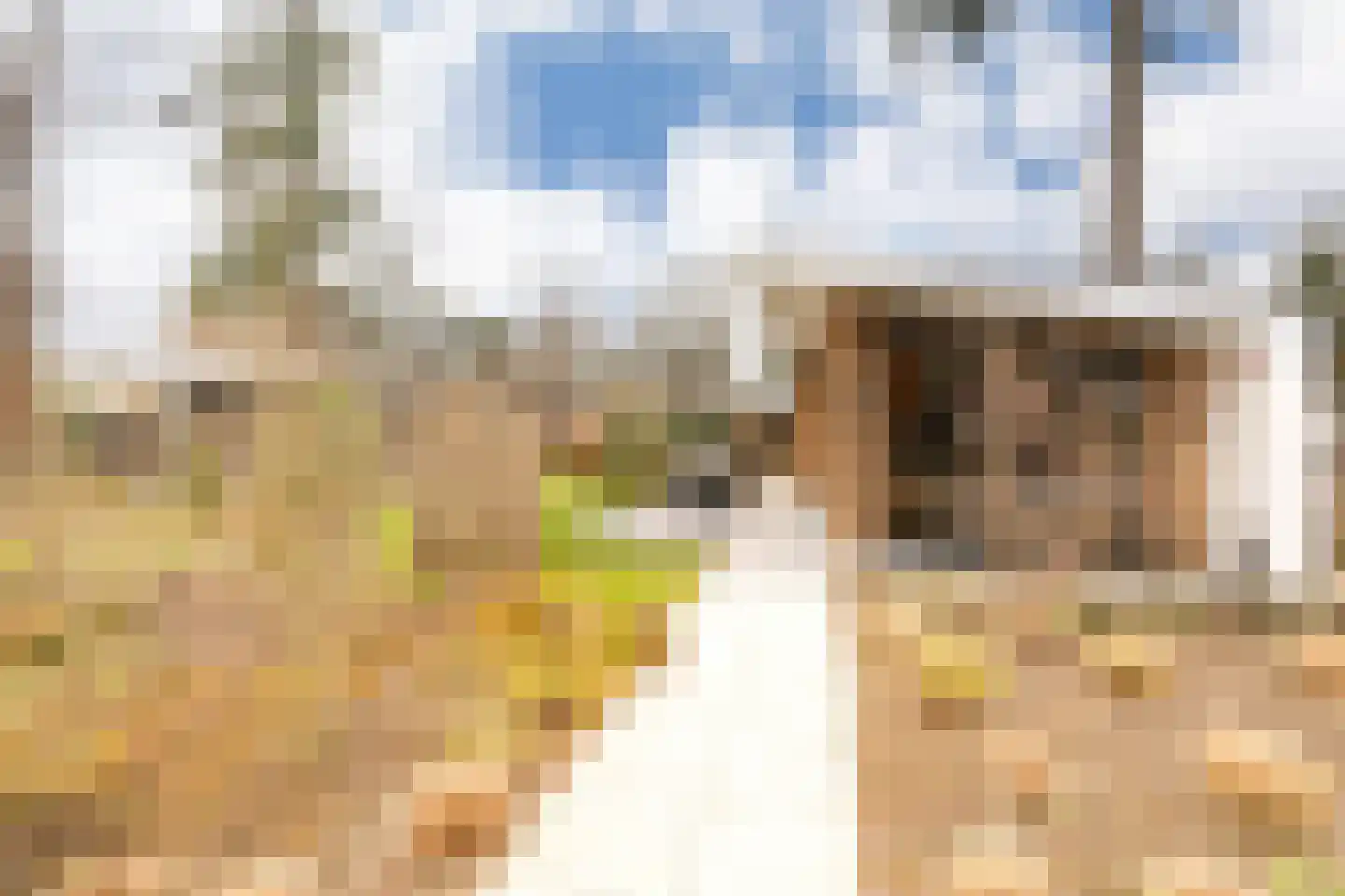 Zonneoordlaan 47 R 114 Ede thumbnail 4