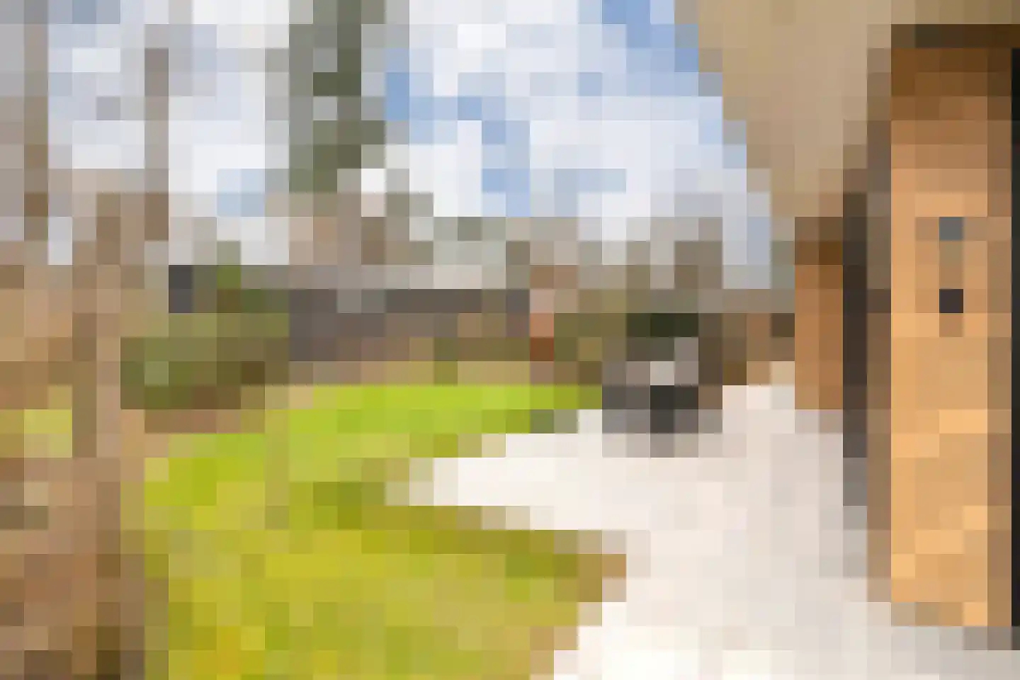 Zonneoordlaan 47 R 114 Ede thumbnail 5