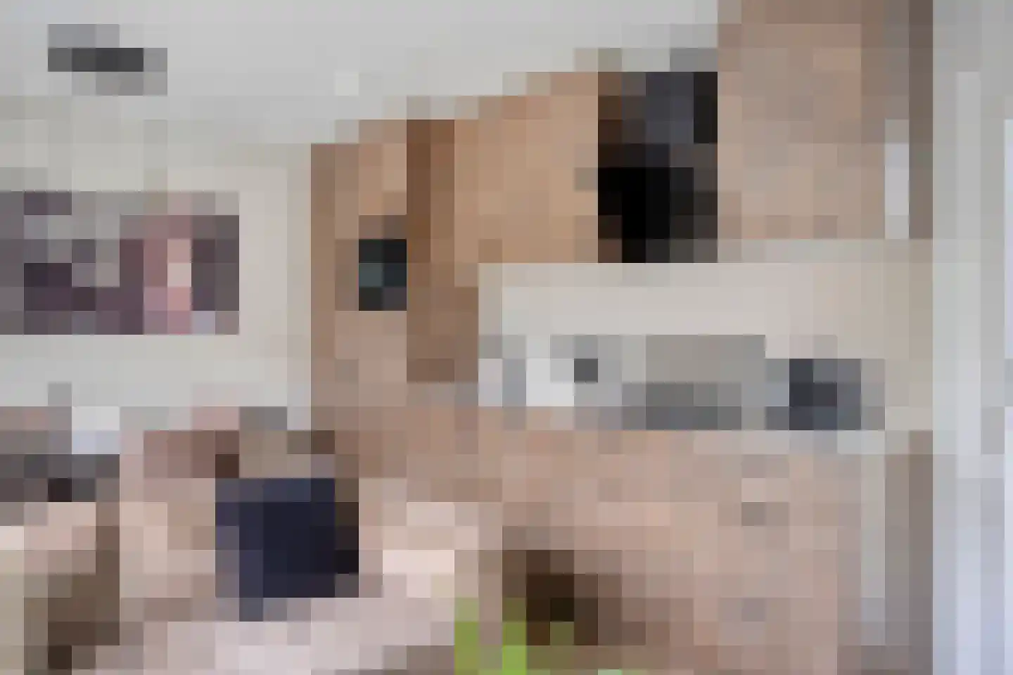 Zonneoordlaan 47 R 150 Ede thumbnail 10