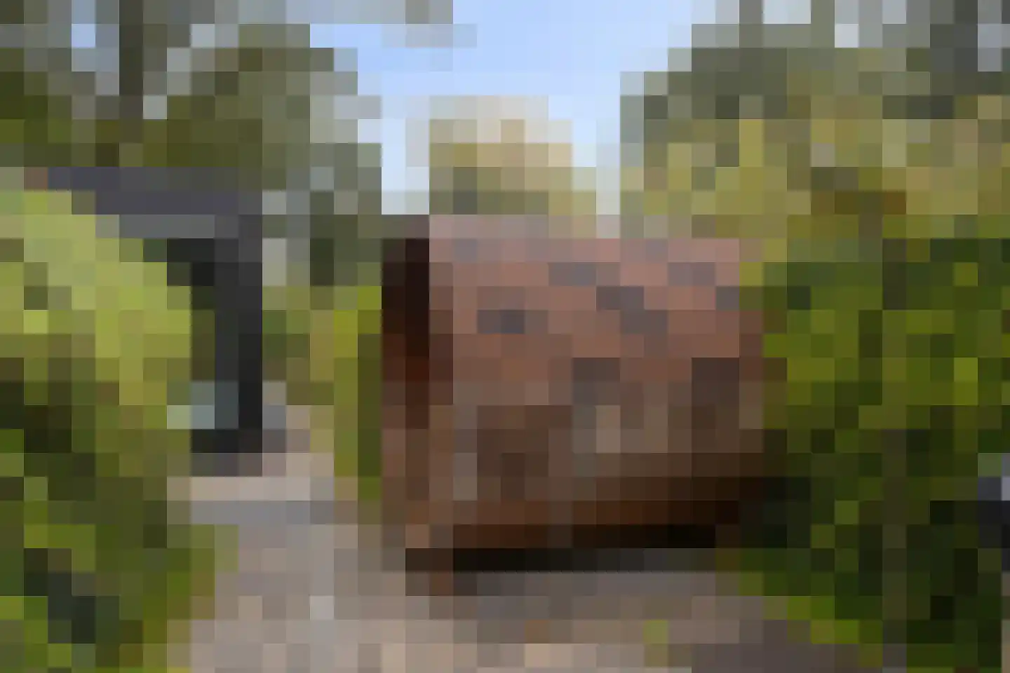 Zonneoordlaan 47 R 150 Ede thumbnail 25