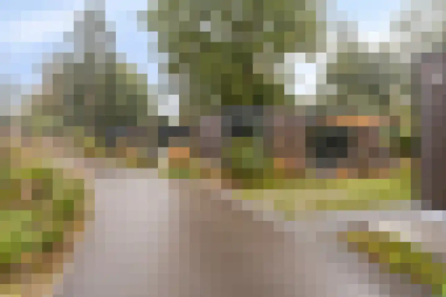 Zonneoordlaan 47 R 150 Ede thumbnail 29
