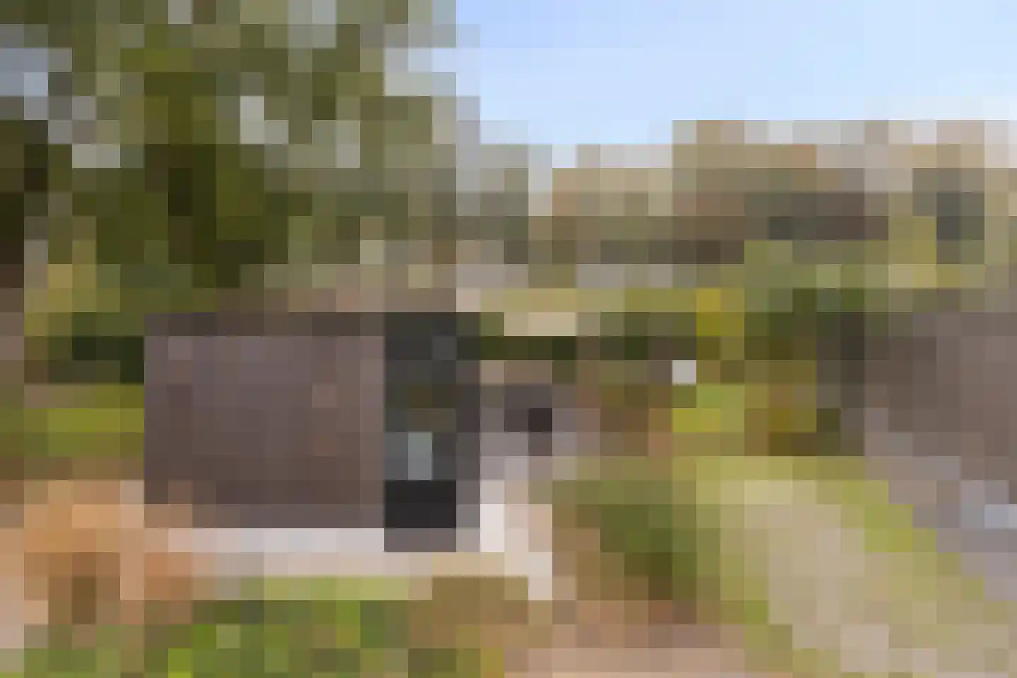 Zonneoordlaan 47 R 150 Ede thumbnail 31