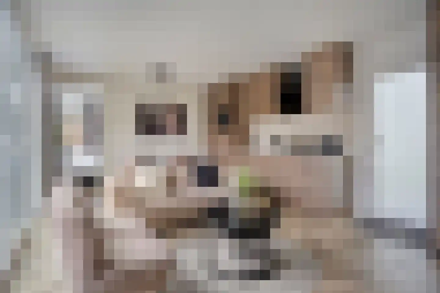 Zonneoordlaan 47 R 150 Ede thumbnail 5