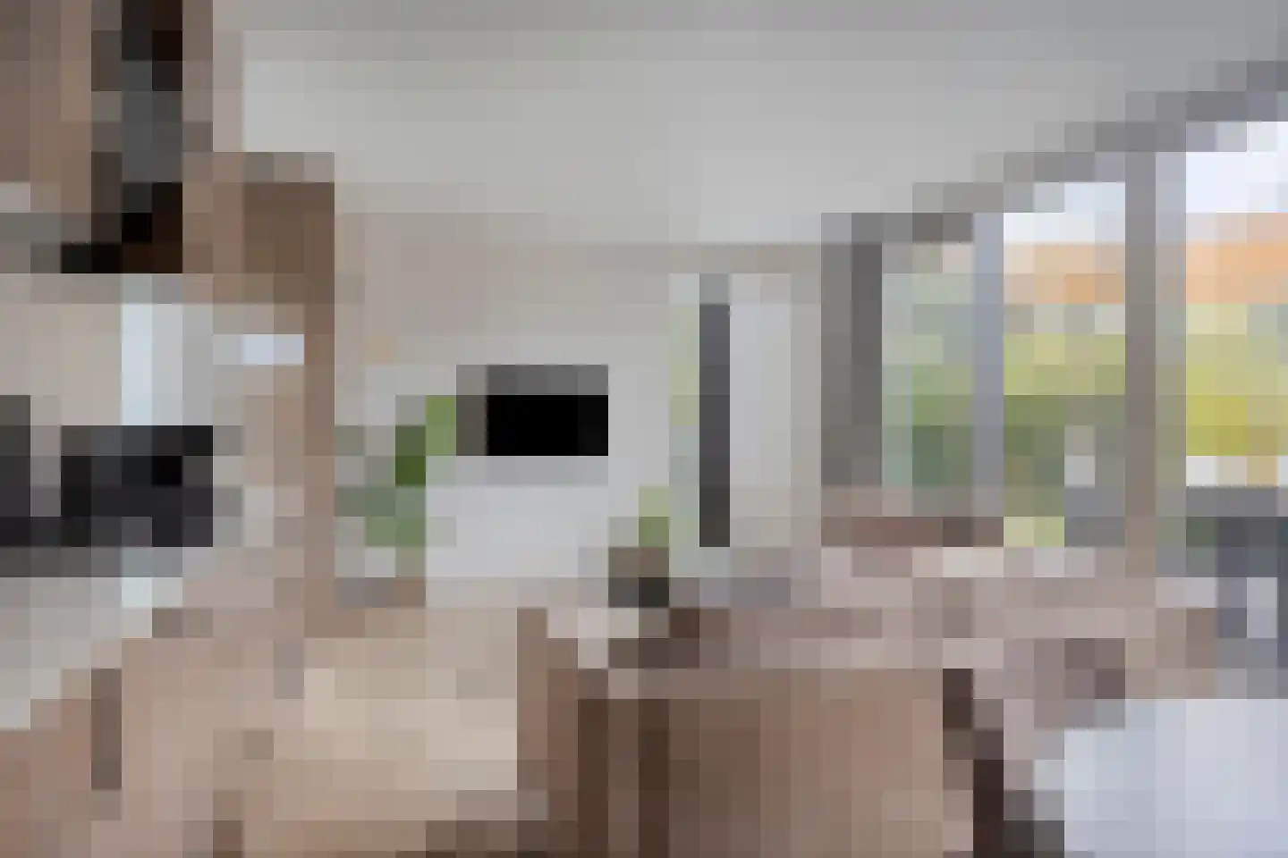 Zonneoordlaan 47 R 150 Ede thumbnail 7