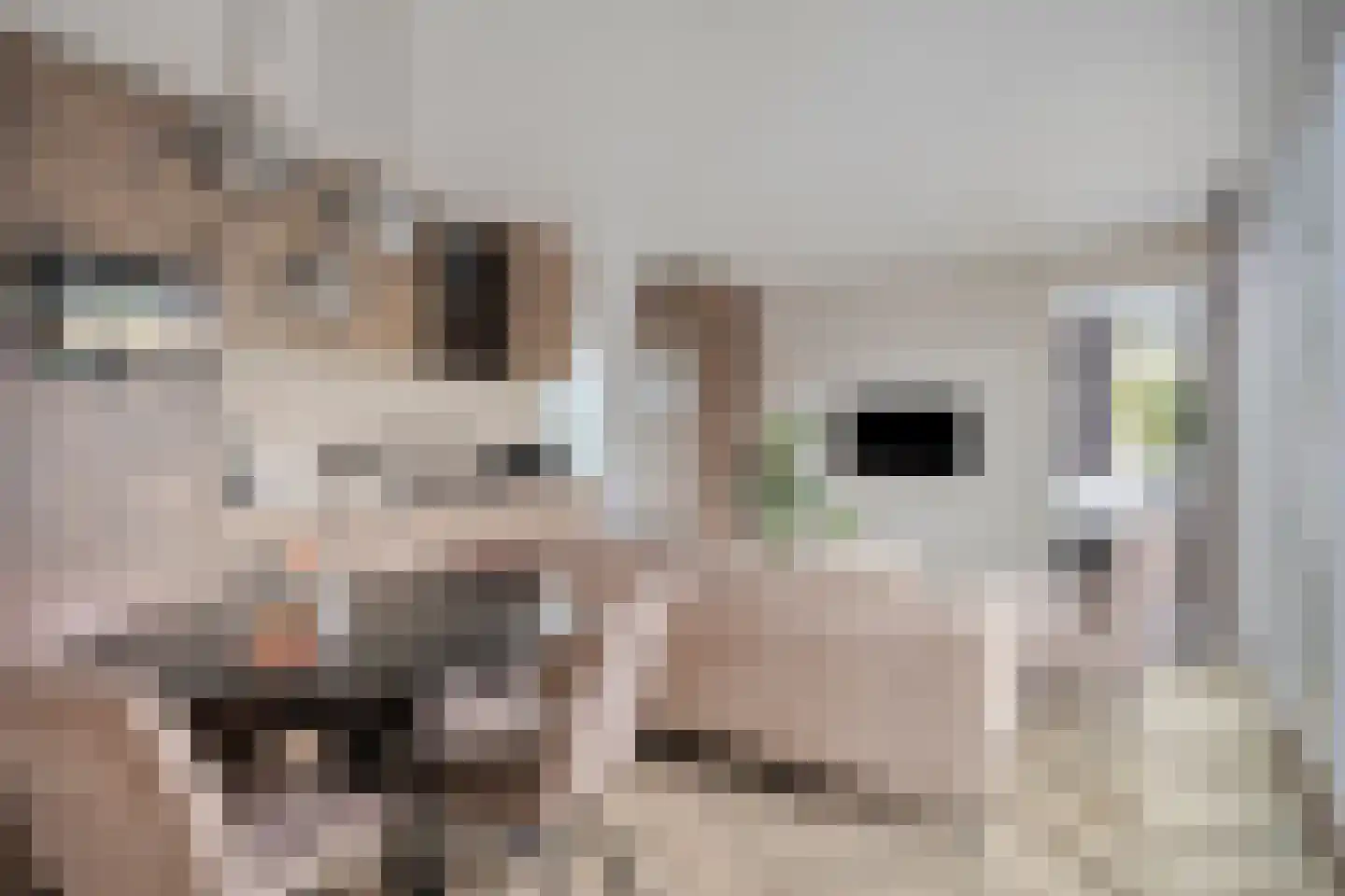 Zonneoordlaan 47 R 150 Ede thumbnail 8