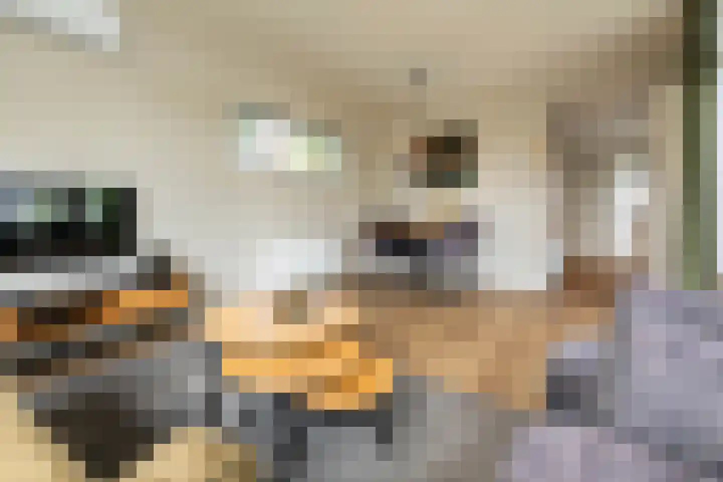 Zonneoordlaan 47 R 208 Ede thumbnail 12
