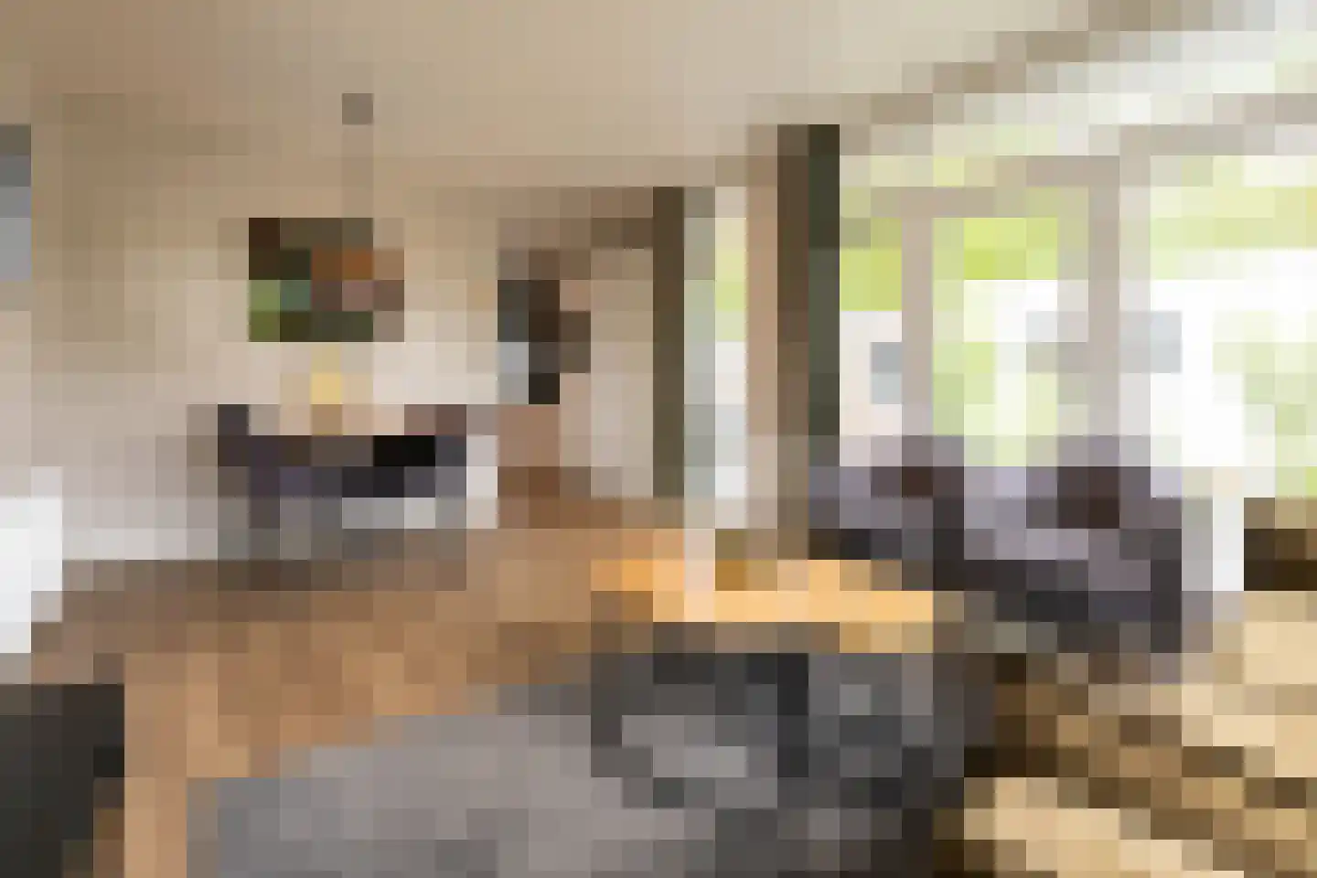 Zonneoordlaan 47 R 208 Ede thumbnail 13