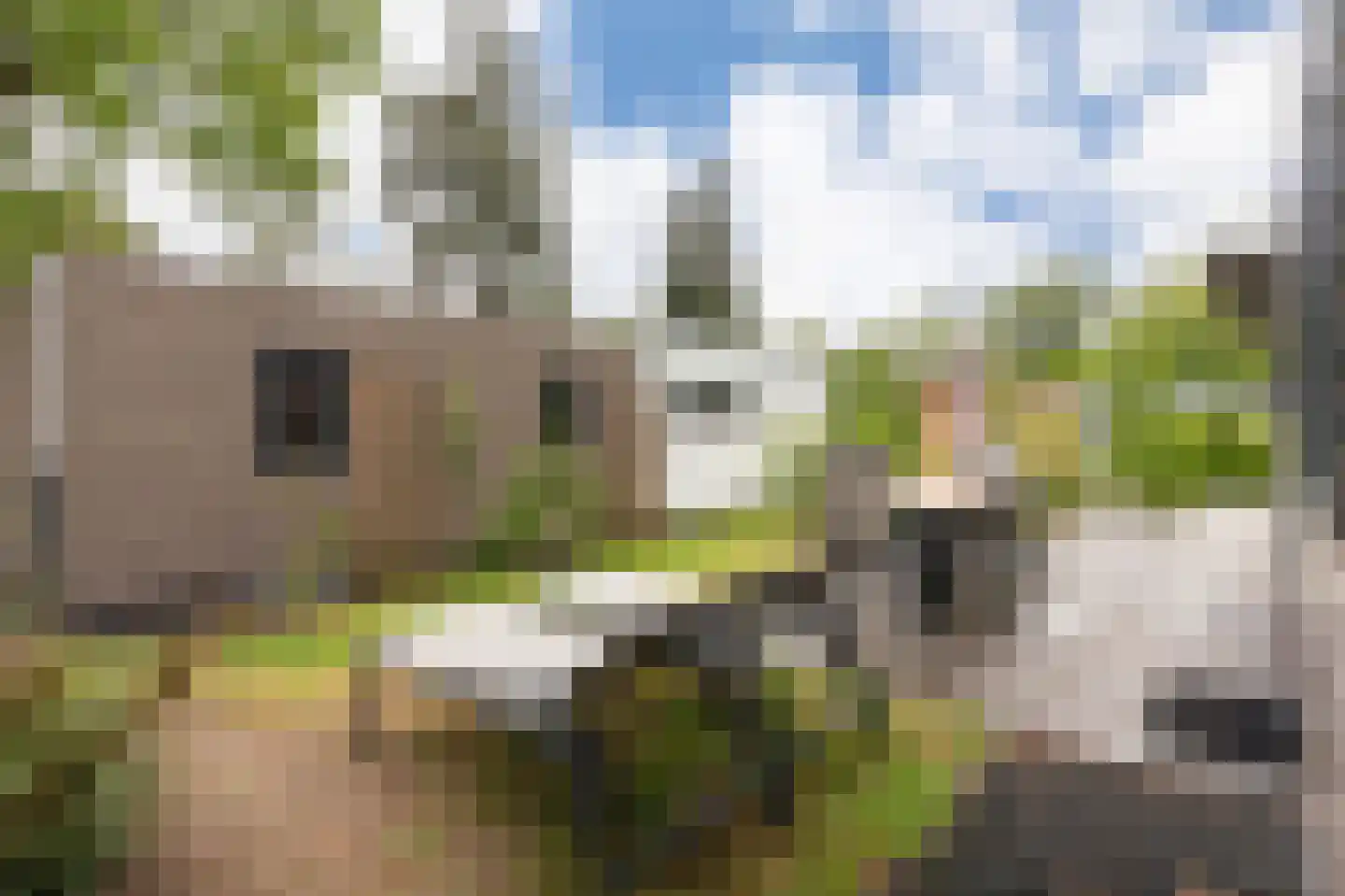 Zonneoordlaan 47 R 208 Ede thumbnail 6
