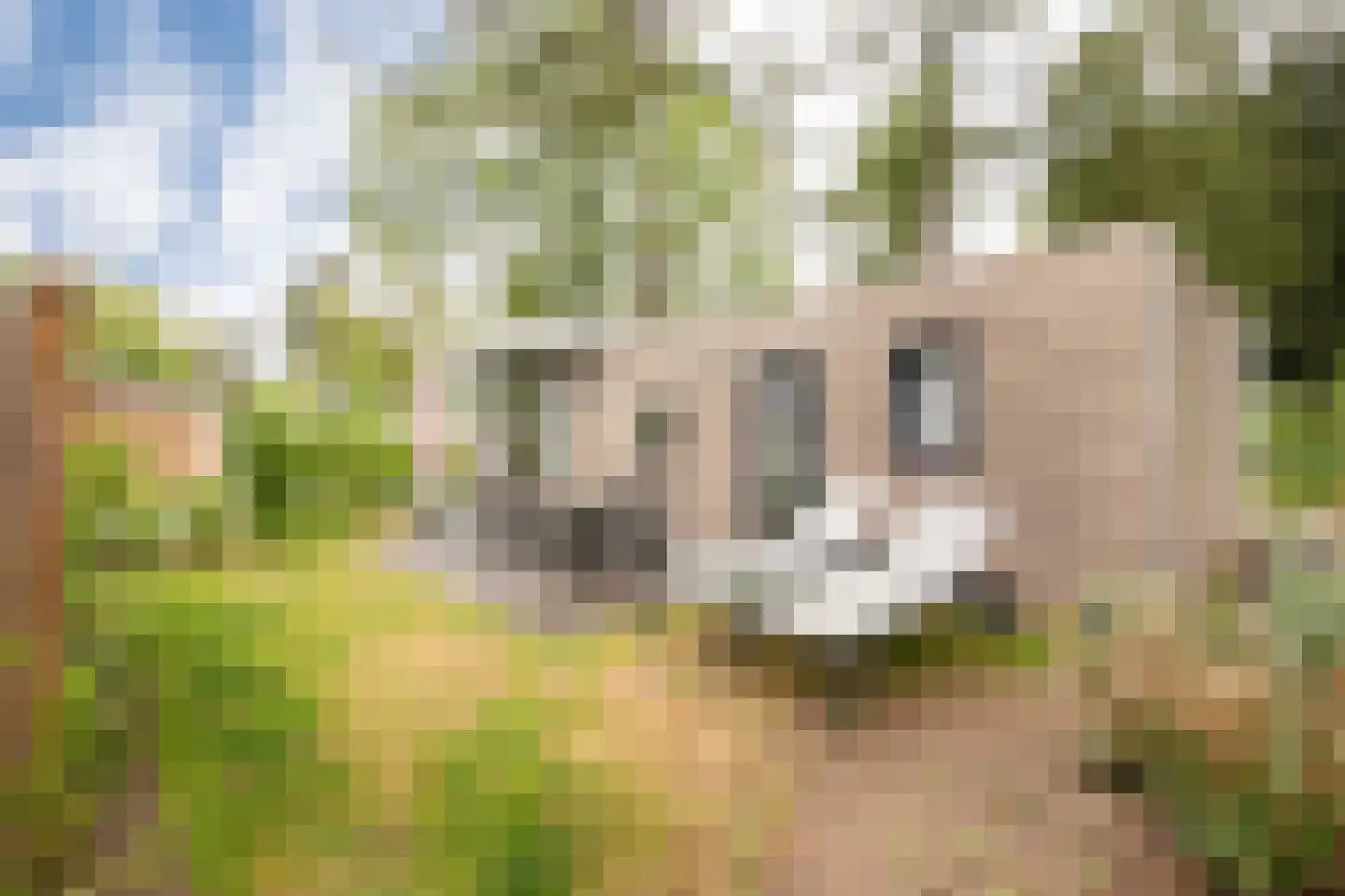 Zonneoordlaan 47 R 208 Ede thumbnail 7