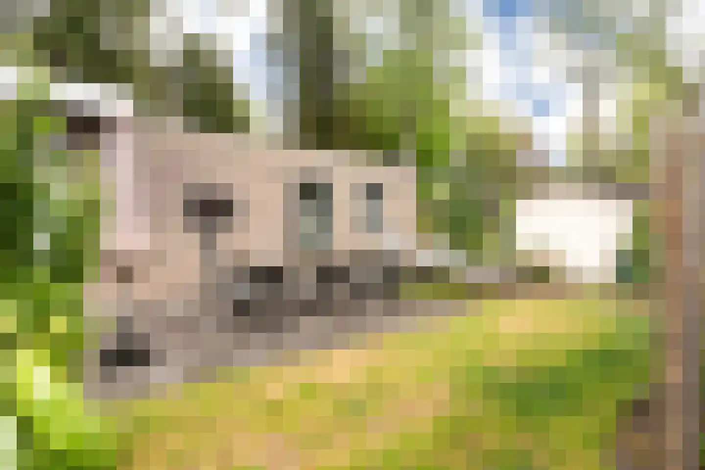 Zonneoordlaan 47 R 208 Ede thumbnail 8