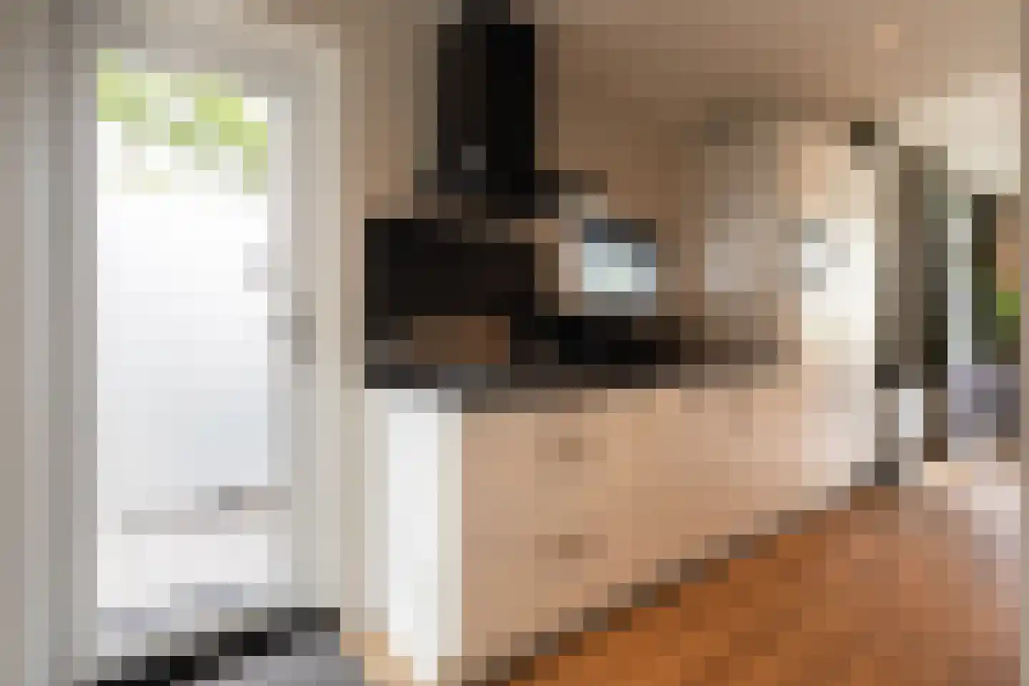 Zonneoordlaan 47 R 208 Ede thumbnail 9