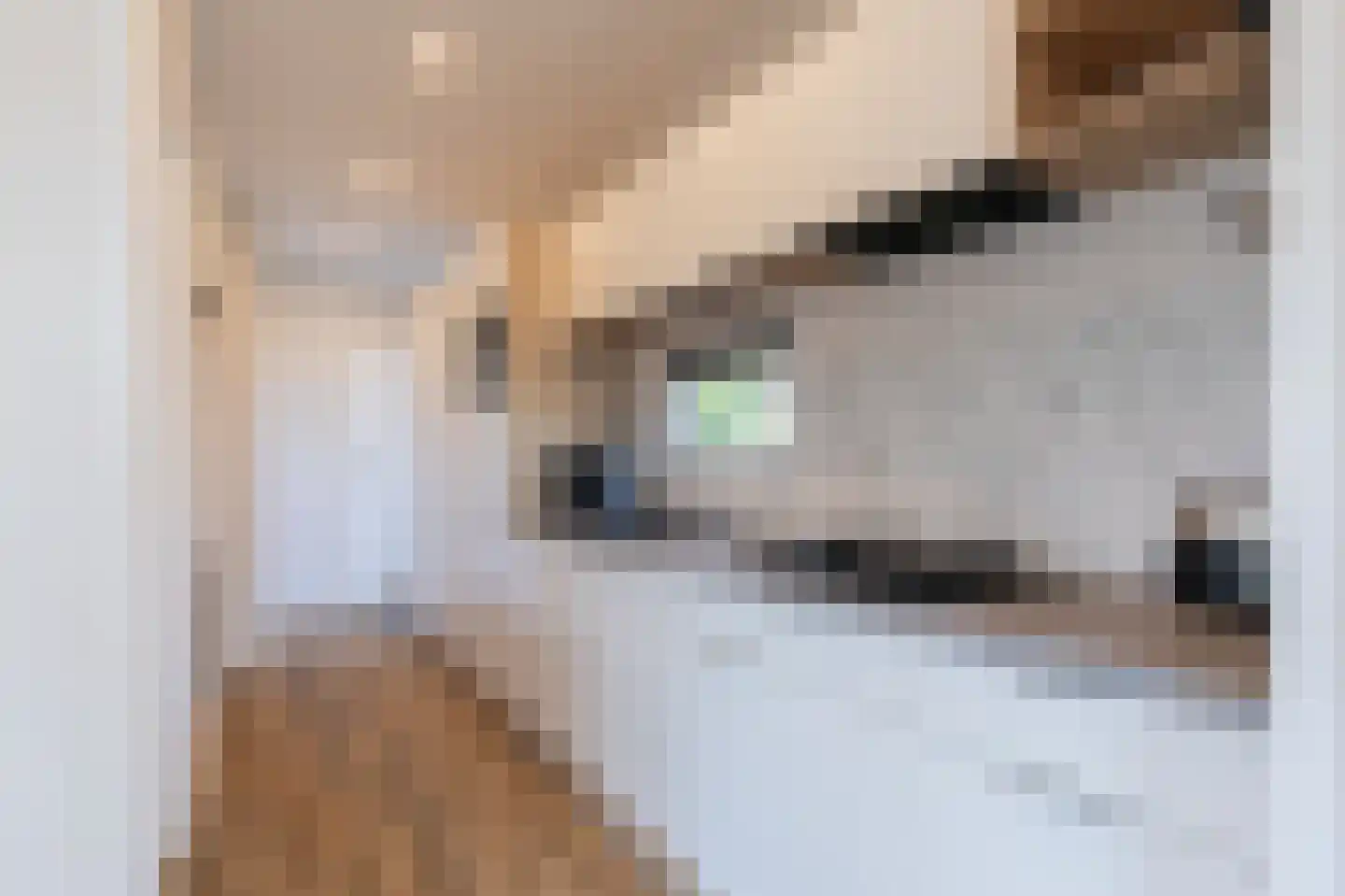 Zonneoordlaan 47 R 348 Ede thumbnail 14