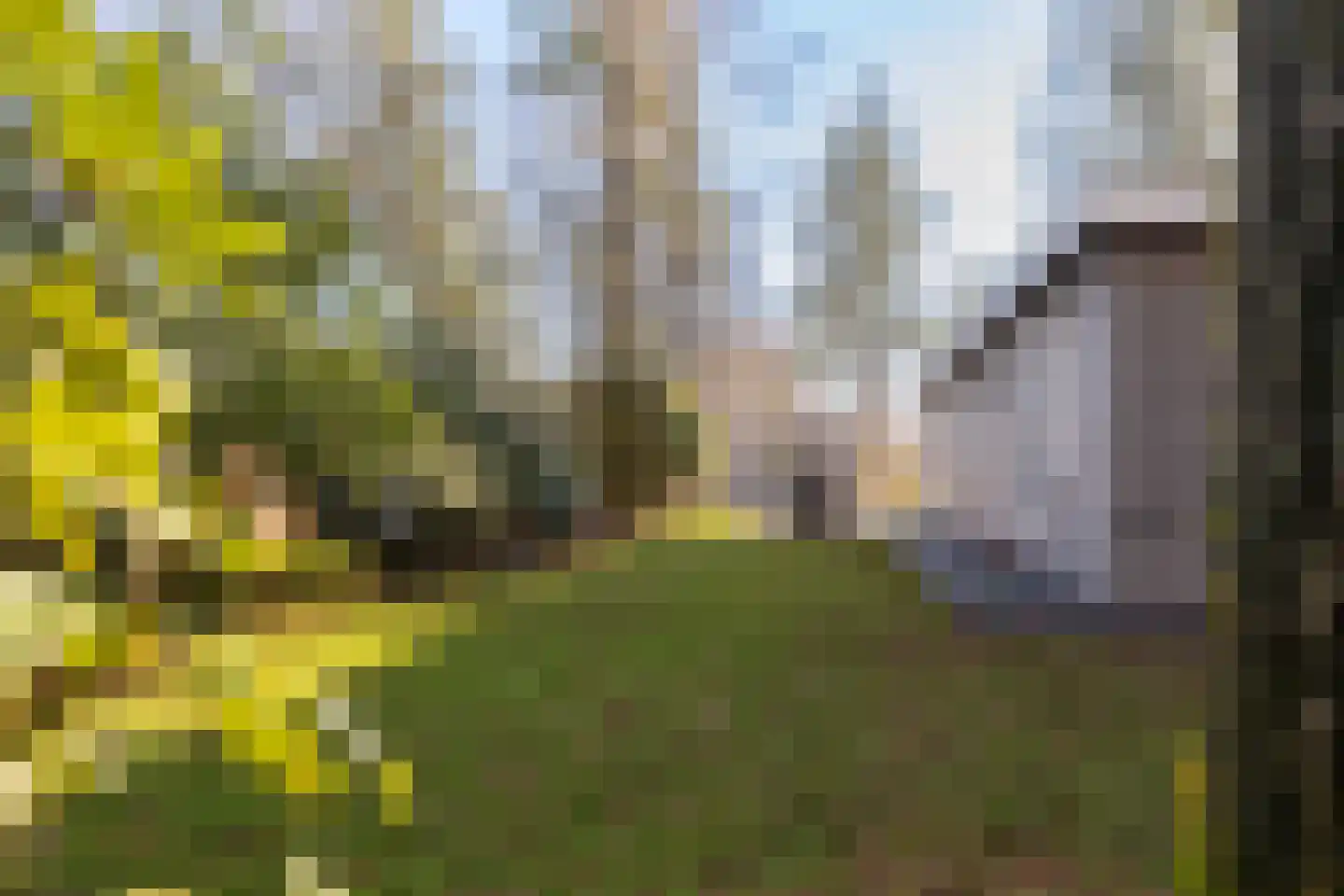 Zonneoordlaan 47 R 348 Ede thumbnail 19