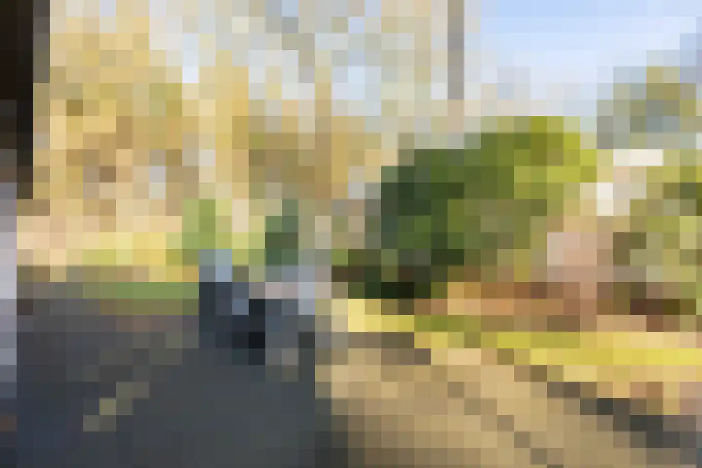 Zonneoordlaan 47 R 348 Ede thumbnail 6