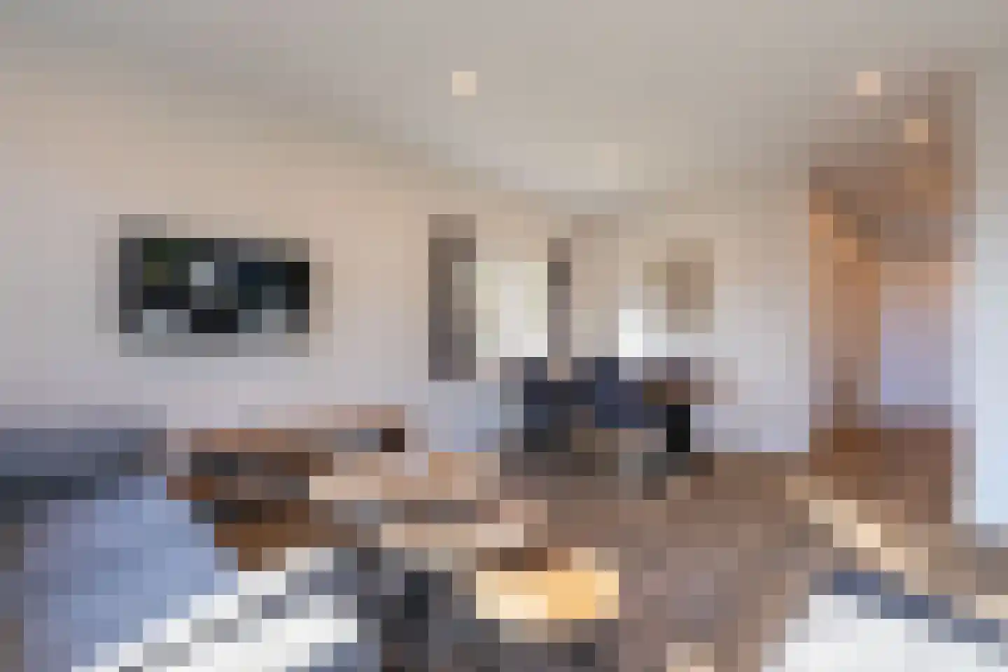 Zonneoordlaan 47 R 348 Ede thumbnail 9