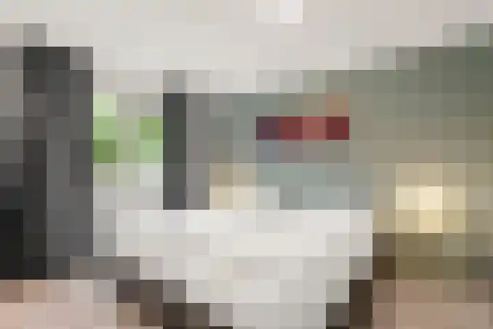 Zonneoordlaan 47 R 4 Ede thumbnail 13