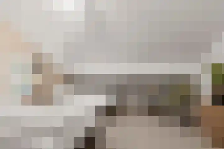 Zonneoordlaan 47 R 4 Ede thumbnail 23