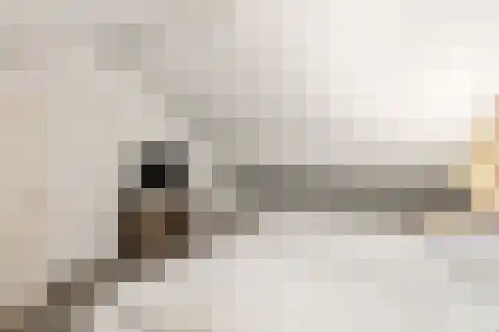 Zonneoordlaan 47 R 4 Ede thumbnail 26