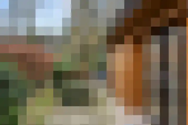 Zonneoordlaan 47 R 4 Ede thumbnail 29