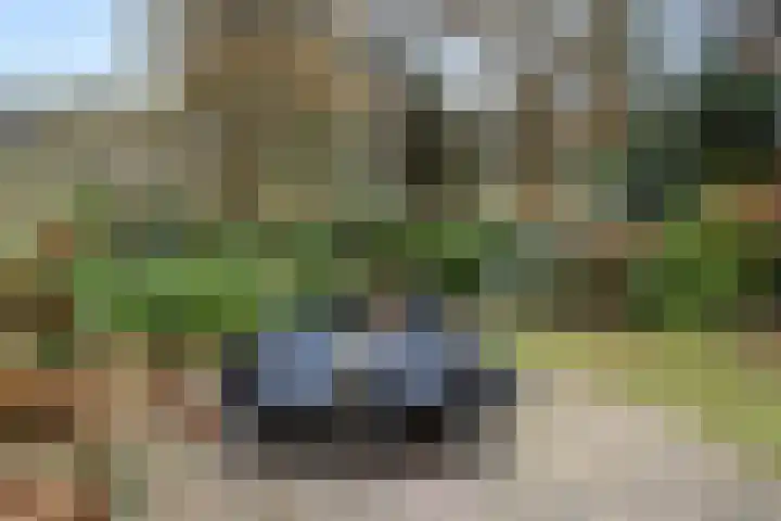 Zonneoordlaan 47 R 4 Ede thumbnail 30