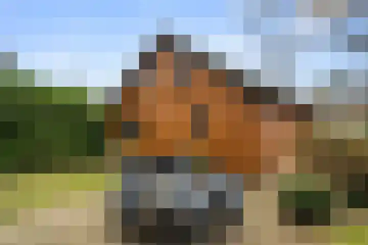 Zonneoordlaan 47 R 4 Ede thumbnail 31