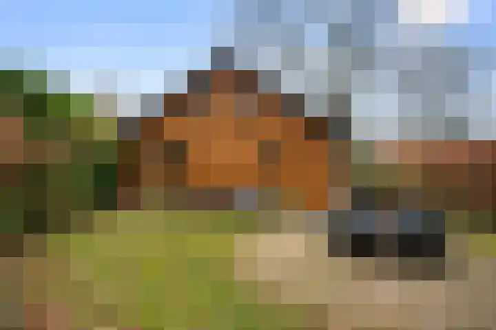 Zonneoordlaan 47 R 4 Ede thumbnail 32