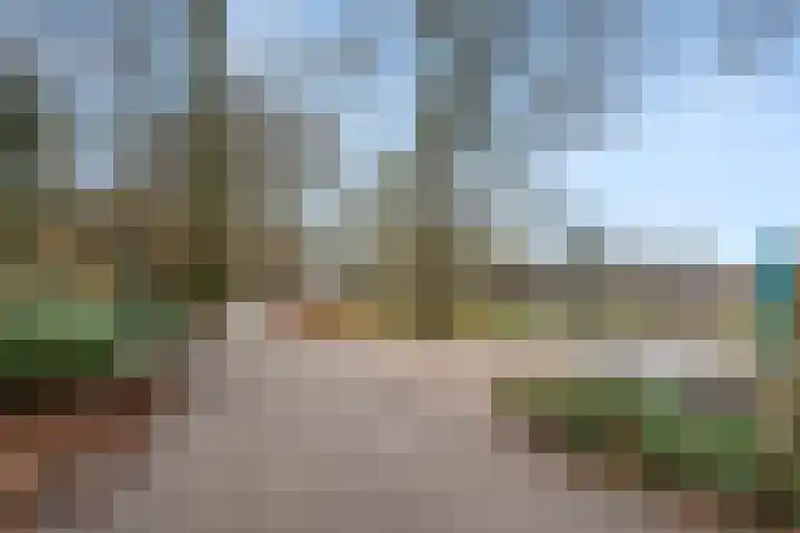 Zonneoordlaan 47 R 4 Ede thumbnail 34