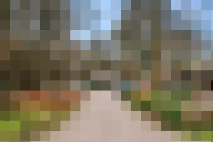 Zonneoordlaan 47 R 4 Ede thumbnail 35