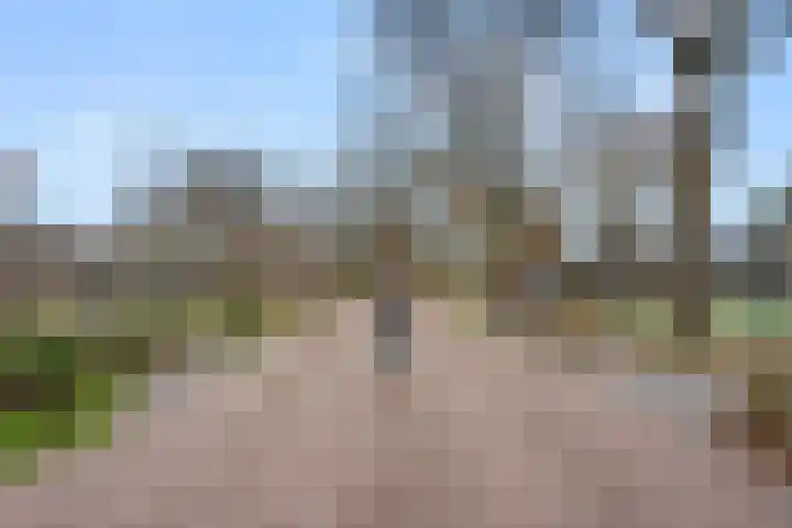 Zonneoordlaan 47 R 4 Ede thumbnail 36