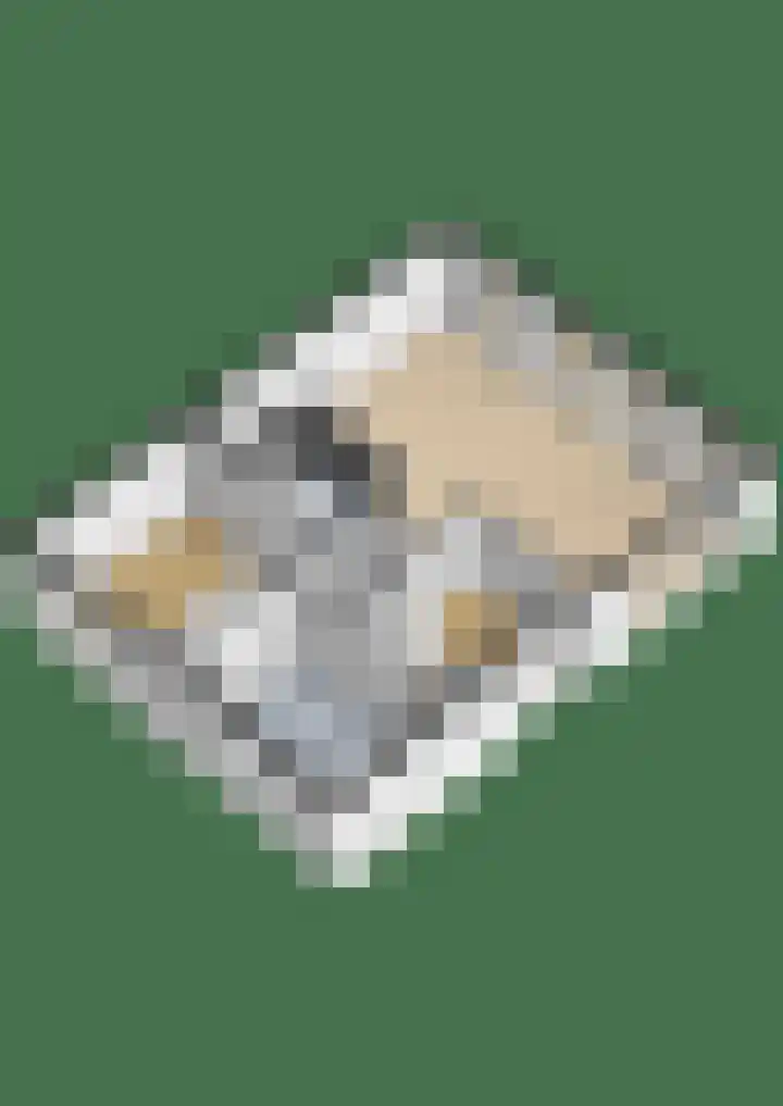 Zonneoordlaan 47 R 4 Ede thumbnail 42