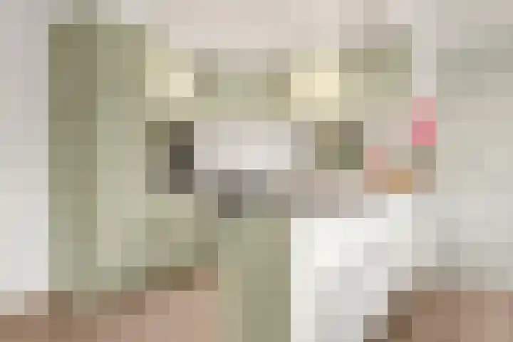 Zonneoordlaan 47 R 4 Ede thumbnail 6