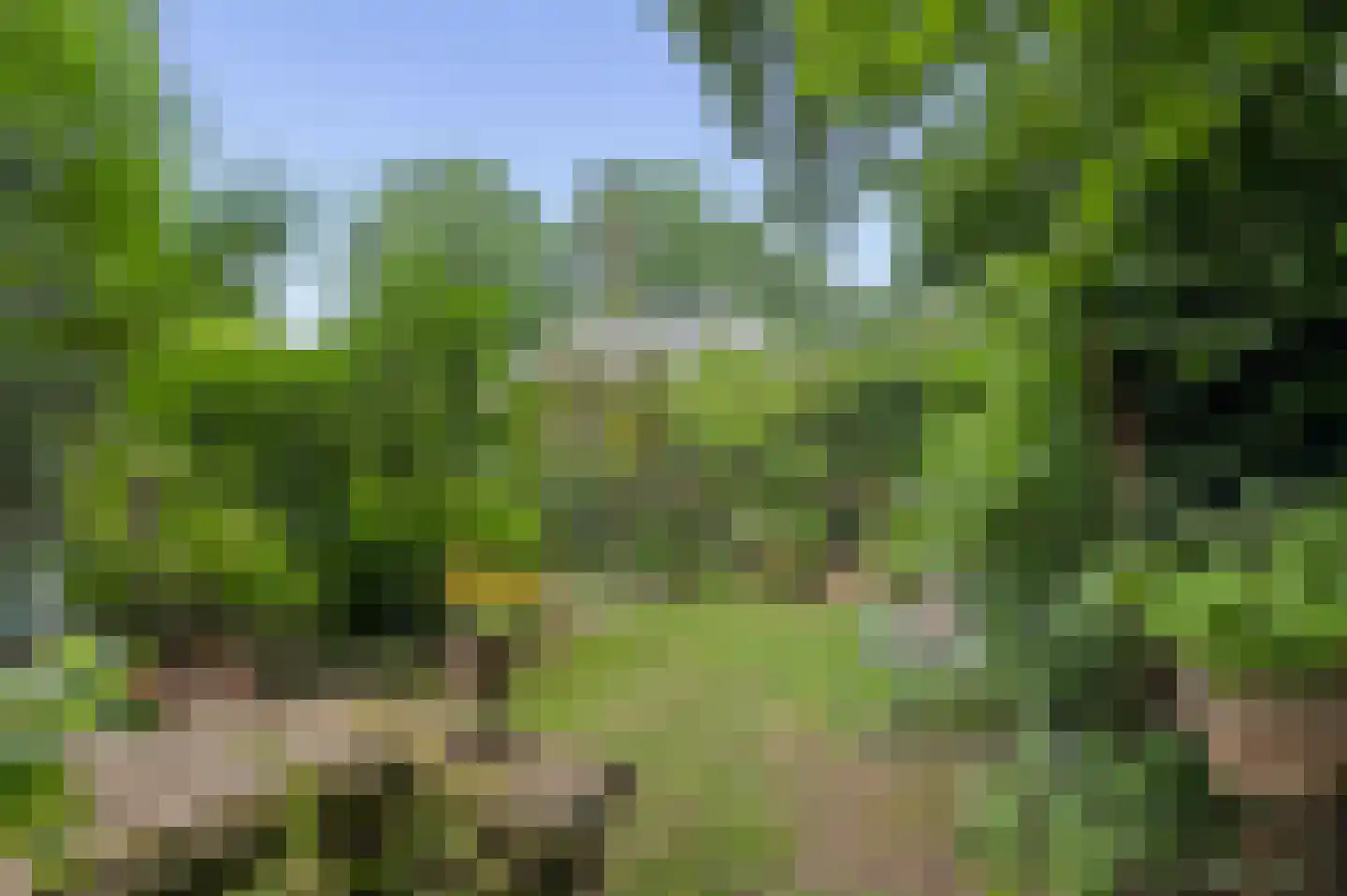 Zonneoordlaan 47 R 51 Ede thumbnail 12